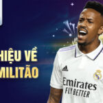 Giới thiệu về éder militão