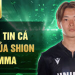 Thông tin cá nhân của shion homma