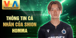 Thông tin cá nhân của shion homma